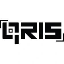 QRIS